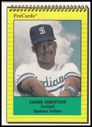 3961 Shawn Robertson